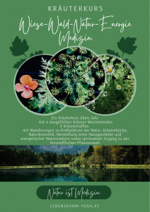 A900598F-CAE5-41FD-83E4-DD23E5B32725