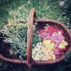 D6551C6D-13B4-45B7-ACEB-28AF817927B1_1_201_a