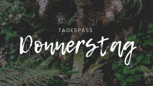 54449d2d-d2d8-4159-9cda-d3d08a114226