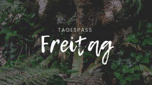 ff13299e-1885-4ac6-b4c2-a93772d8d7c8